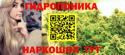 PSILOCYBIN Кумертау