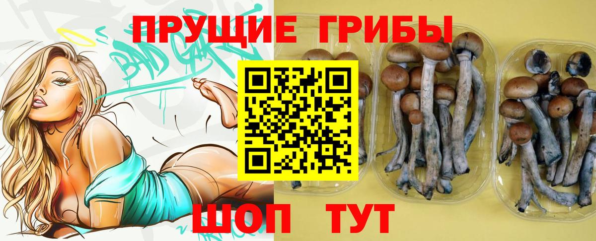Ессентуки  Псилоцибиновые грибы мицелий  Вход с VPN 
